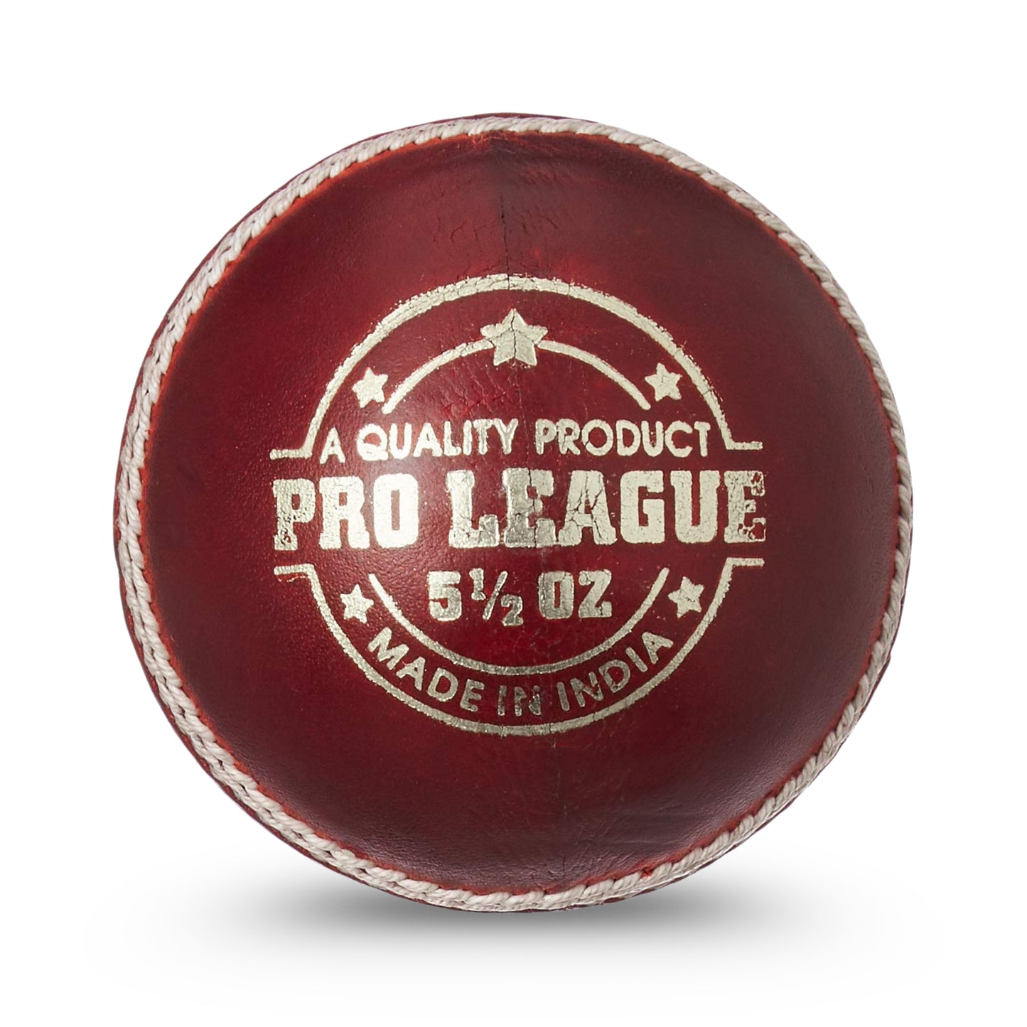 DSC Pro League Cricket Leather Ball (Red)