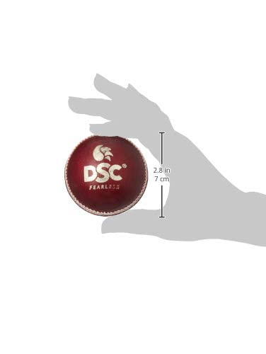 DSC Pro League Cricket Leather Ball (Red)