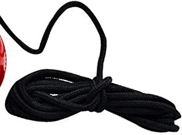 DSC Hanging Synthetic Cricket Ball (Red, Club Size), Standard