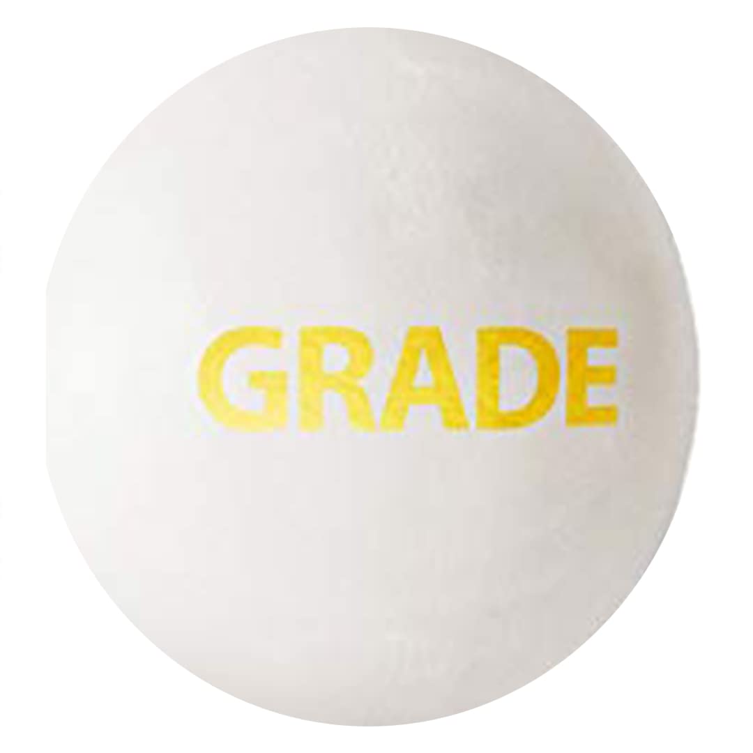 DSC 1500307 Leather Cricket Ball, Size Club (White)
