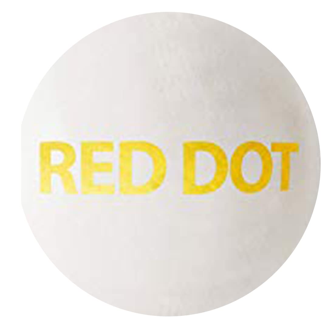DSC Red Dot Leather Cricket Ball (White)