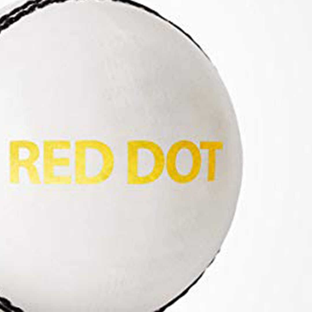 DSC Red Dot Leather Cricket Ball (White)