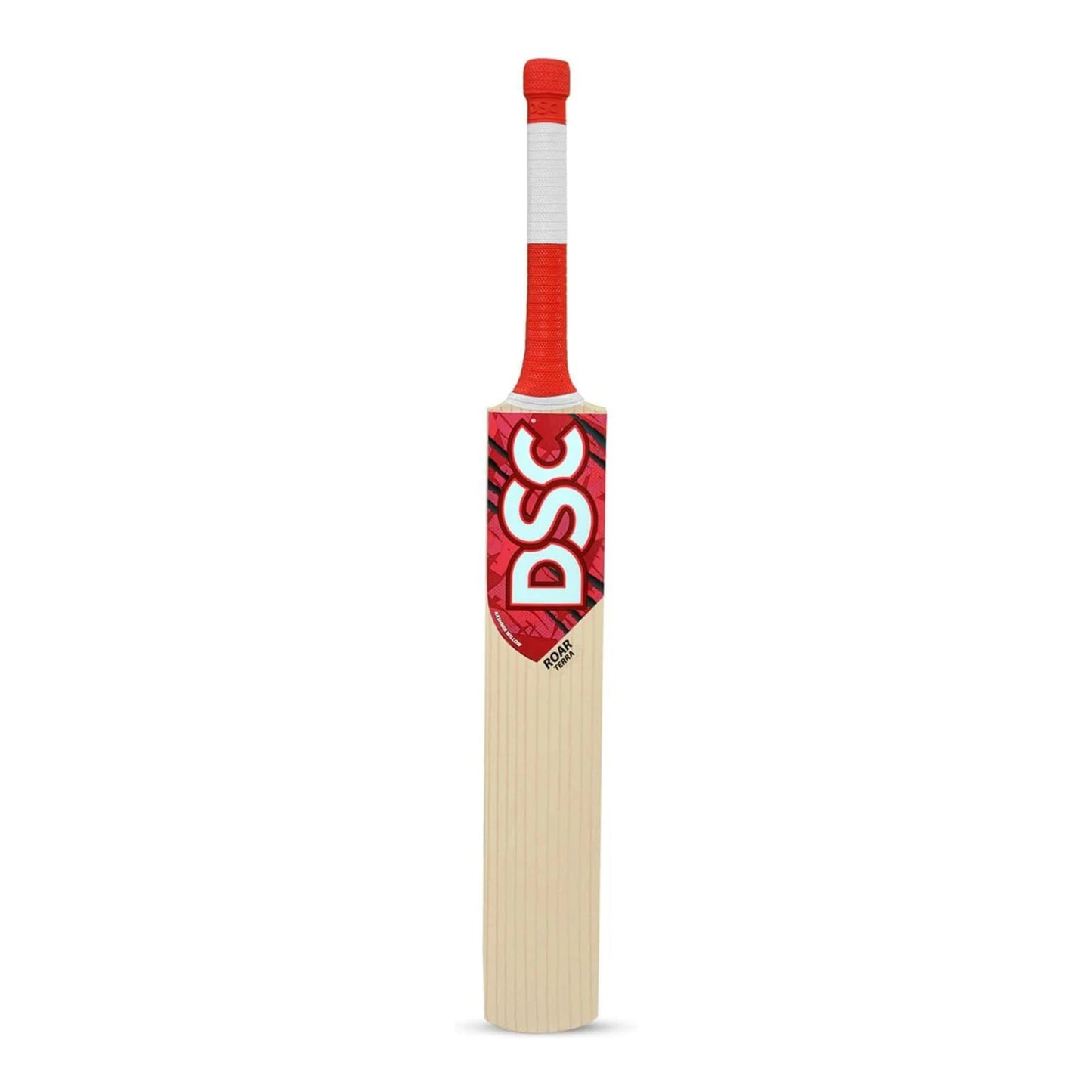 DSC Roar Terra Kashmir Willow Cricket Bat Size 3