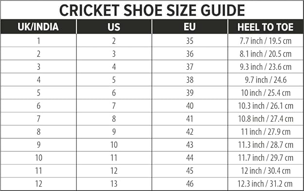 DSC Biffer 22 Cricket Shoes for Mens