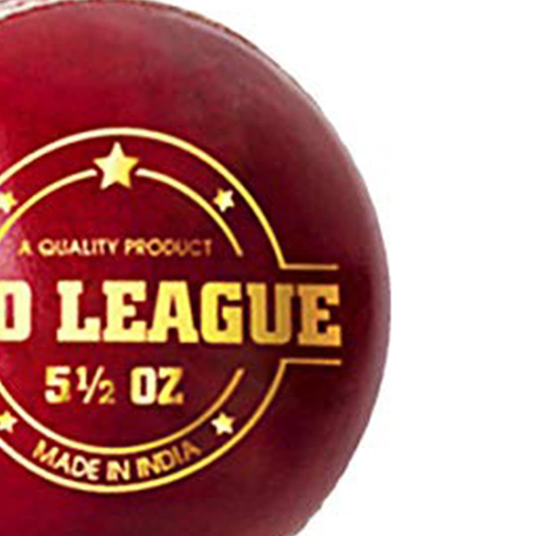 DSC Pro League Cricket Leather Ball (Red)