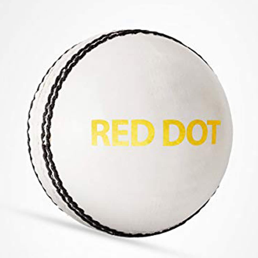 DSC Red Dot Leather Cricket Ball (White)