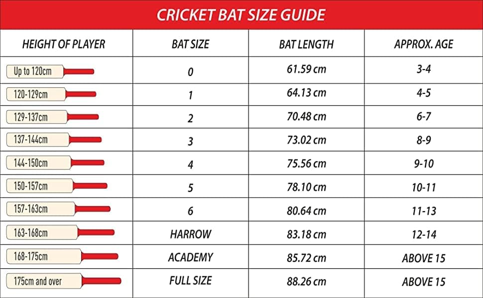 DSC Roar Terra Kashmir Willow Cricket Bat Size 3