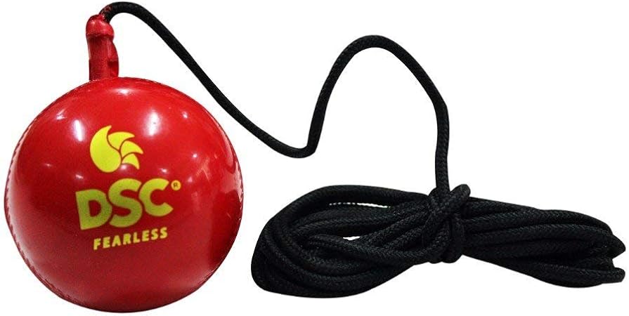 DSC Hanging Synthetic Cricket Ball (Red, Club Size), Standard