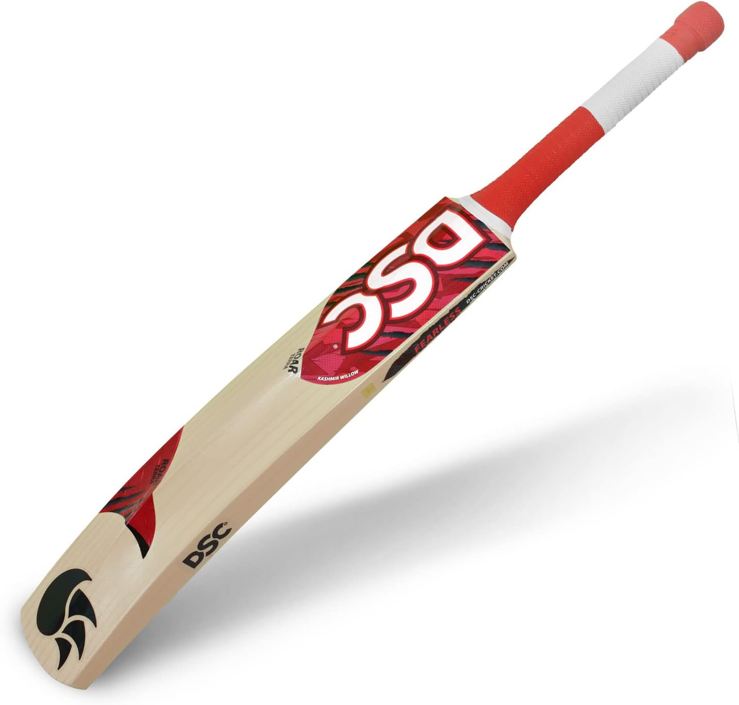 DSC Roar Terra Kashmir Willow Cricket Bat Size 3