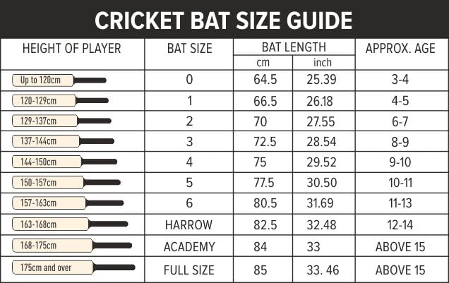 DSC Lava Kashmir Willow Short Handle Cricket Bat