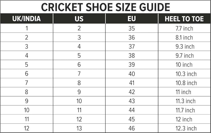 DSC Beamer Cricket Shoes | For Boys And Men | Lightweight | Durable | Embossed Design