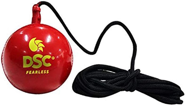 DSC Hanging Synthetic Cricket Ball (Red, Club Size), Standard