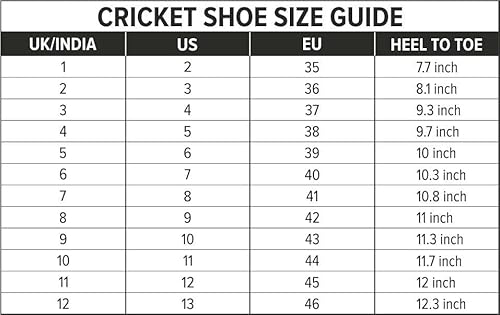 DSC Zooter Cricket Shoe | for Mens & Boys | Material: Polyvinyl Chloride | Lightweight | Improved Stability in The Game