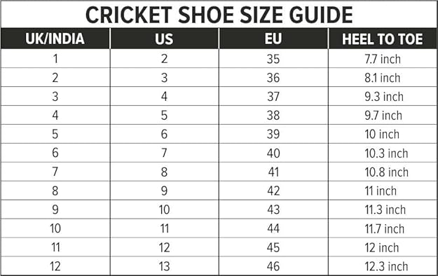 DSC Zooter Cricket Shoe | for Mens & Boys | Material: Polyvinyl Chloride | Lightweight | Improved Stability in The Game