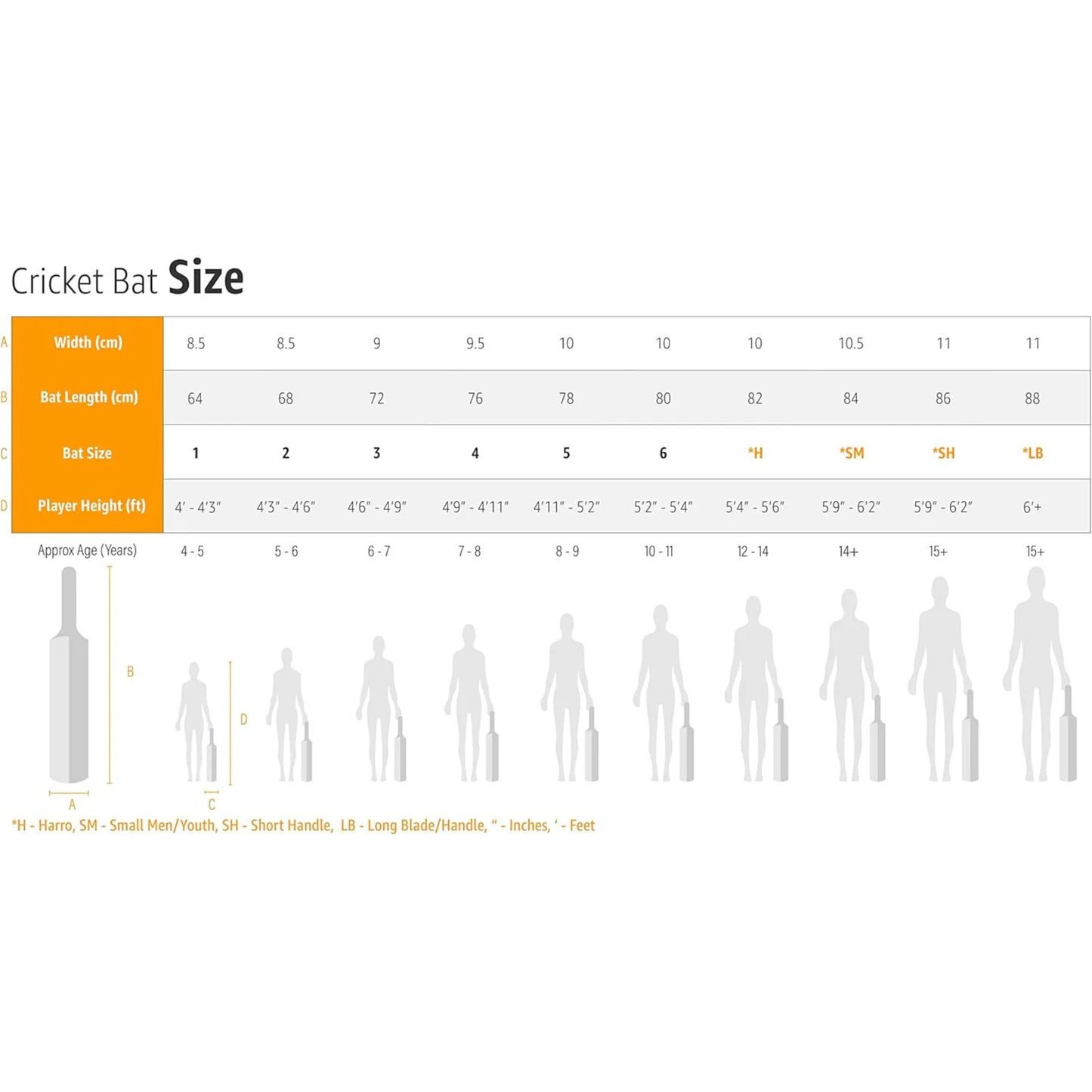 SG Max Cover Kashmir Willow Cricket Bat (Color May Vary)