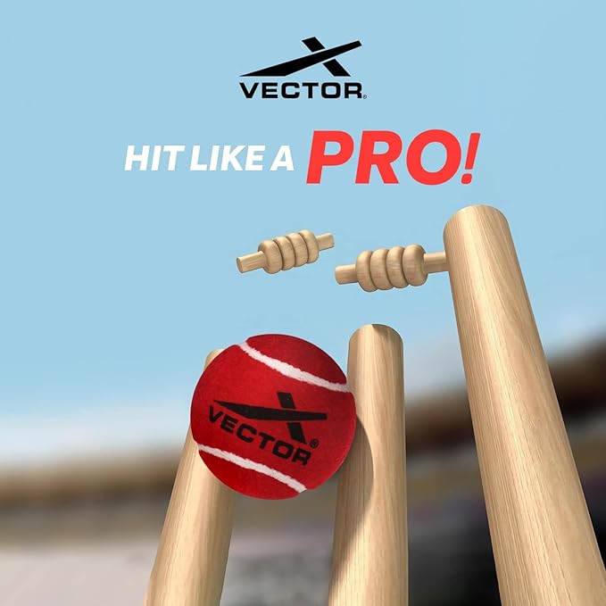 Vector X High Bounce Heavy Weight Tennis Ball for Cricket Practice, Street Match Ball, Training Exercise Ball for Outdoor & Indoor, Beginners & Pet Dog Play Ball (Pack of 6) Red