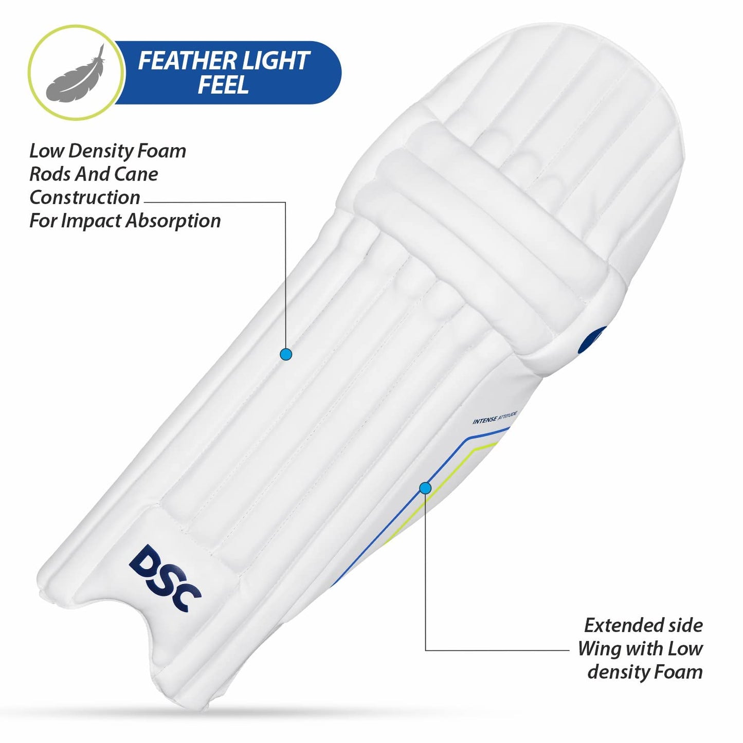 DSC Intense Attitude Cricket Batting Legguard