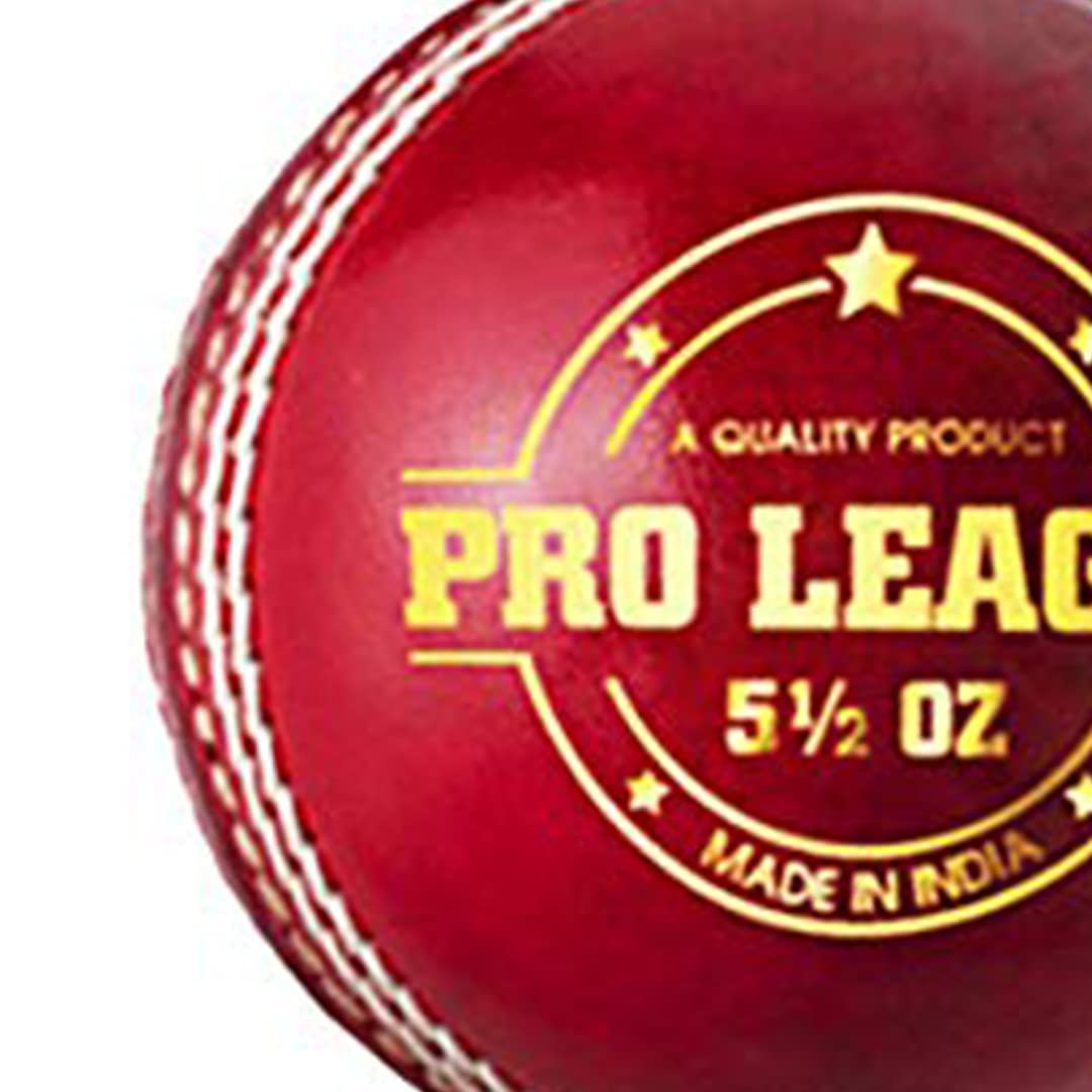 DSC Pro League Cricket Leather Ball (Red)