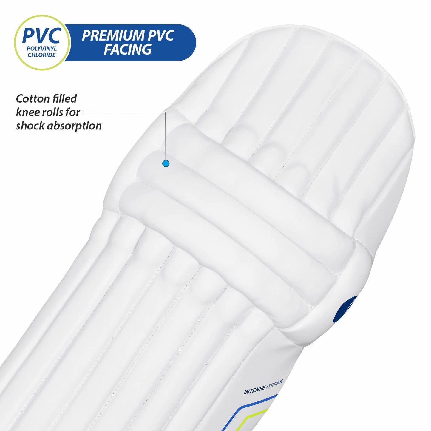 DSC Intense Attitude Cricket Batting Legguard
