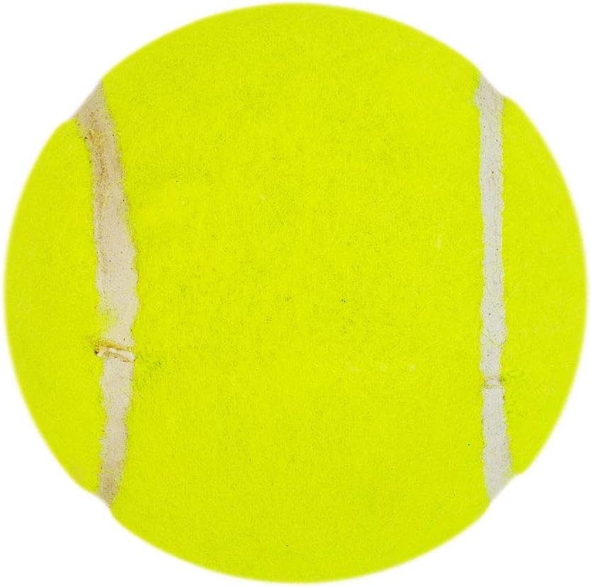 DSC Tennis Ball Nitro Heavy 12 Balls (Yellow, Size-Junior) | Material-Tennis | Heavy Weight Ball | Practice Ball | Cricket Training Ball | Swing | Balls | Indoor