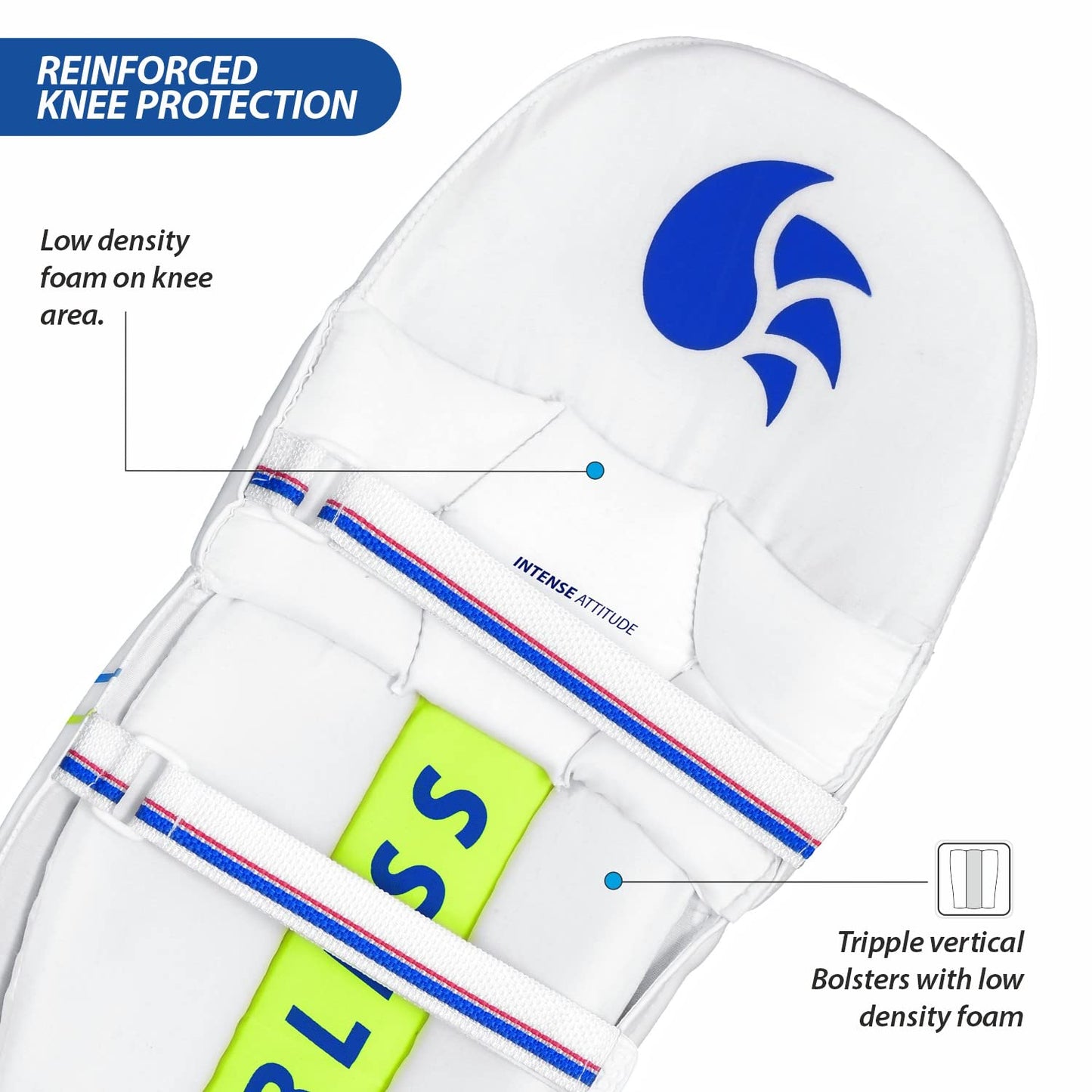 DSC Intense Attitude Cricket Batting Legguard
