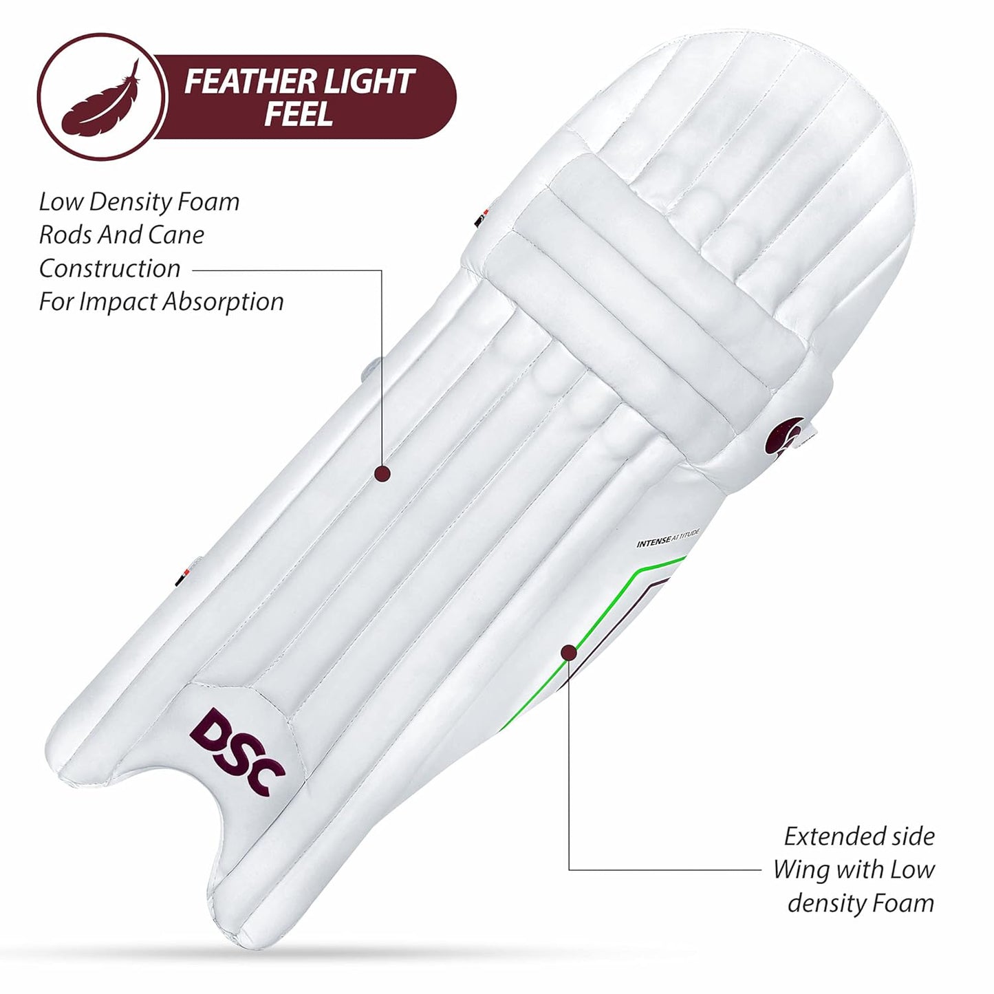 DSC Intense Attitude Cricket Batting Legguard