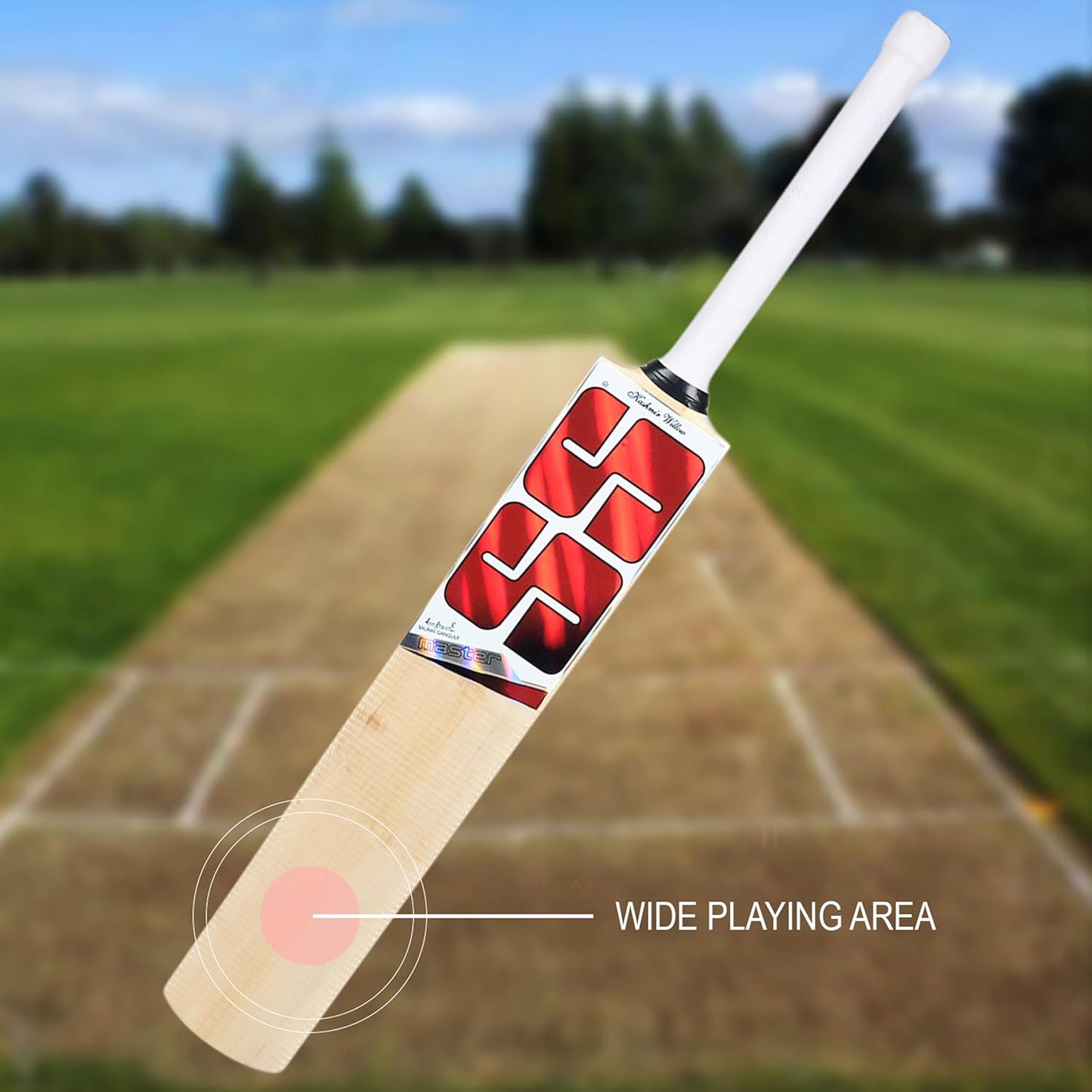 SS Master KW Cricket Bat