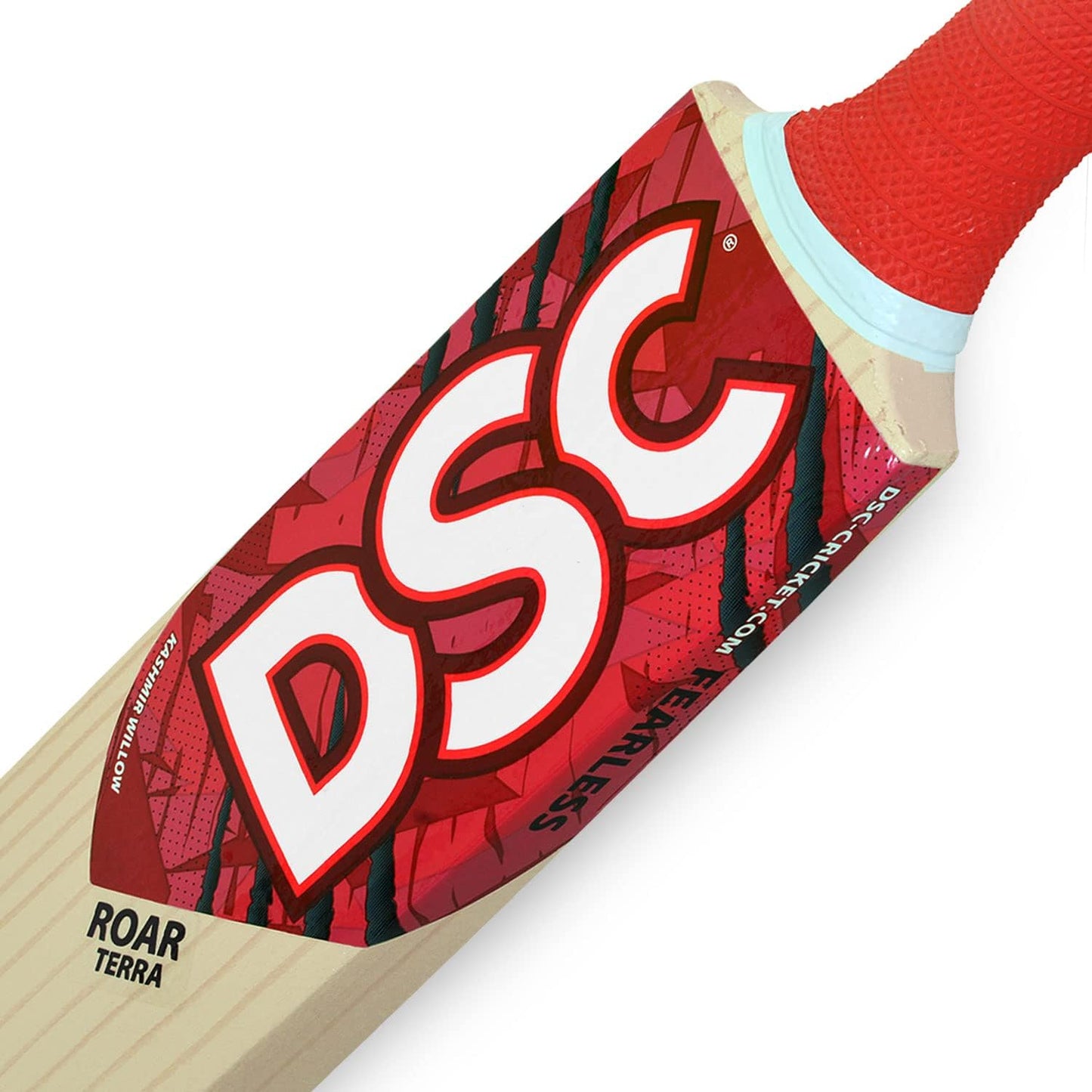 DSC Roar Terra Kashmir Willow Cricket Bat Size 3