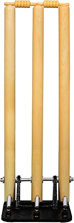 DSC Spring Cricket Stumps Set