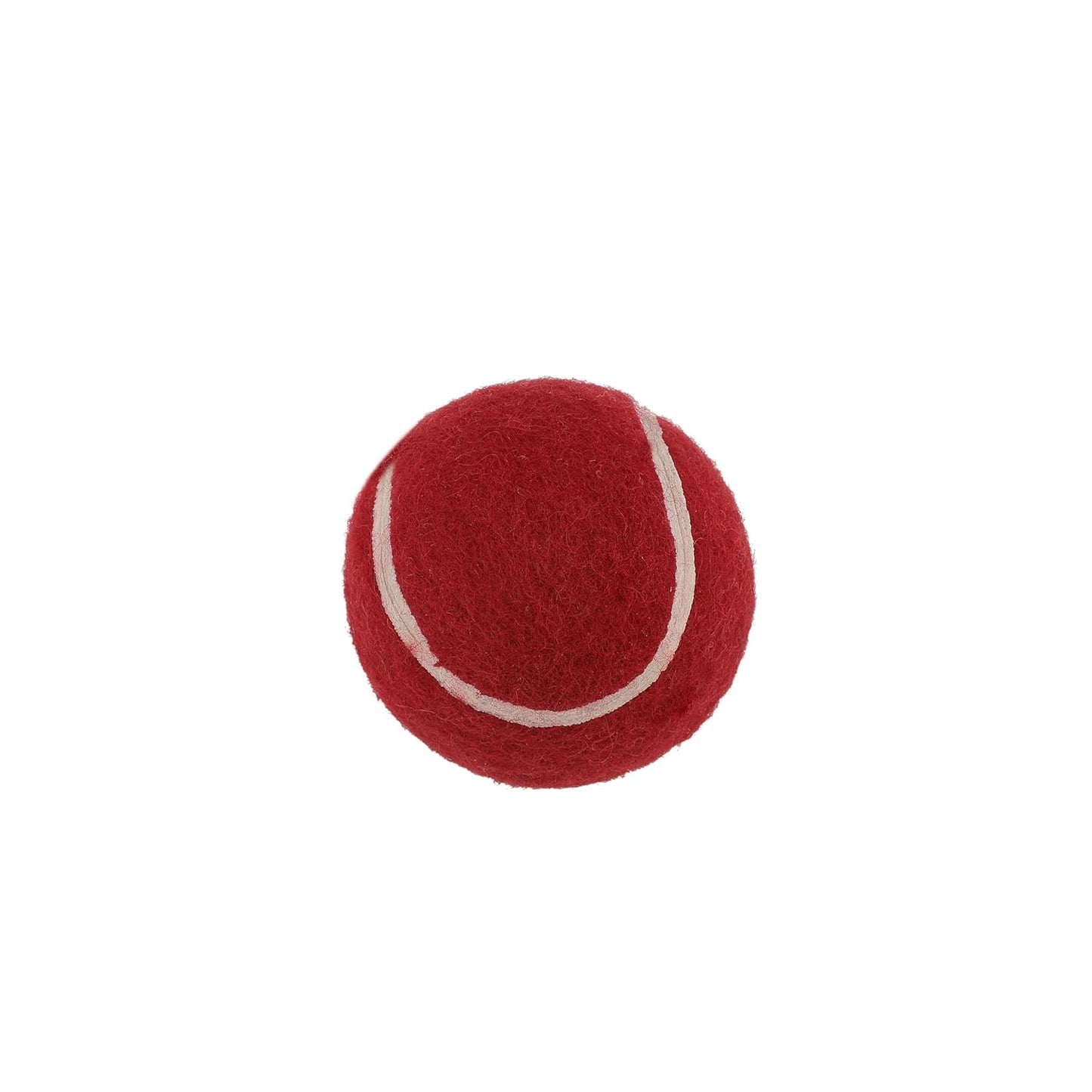 SS Mini Cricket Set for Kids