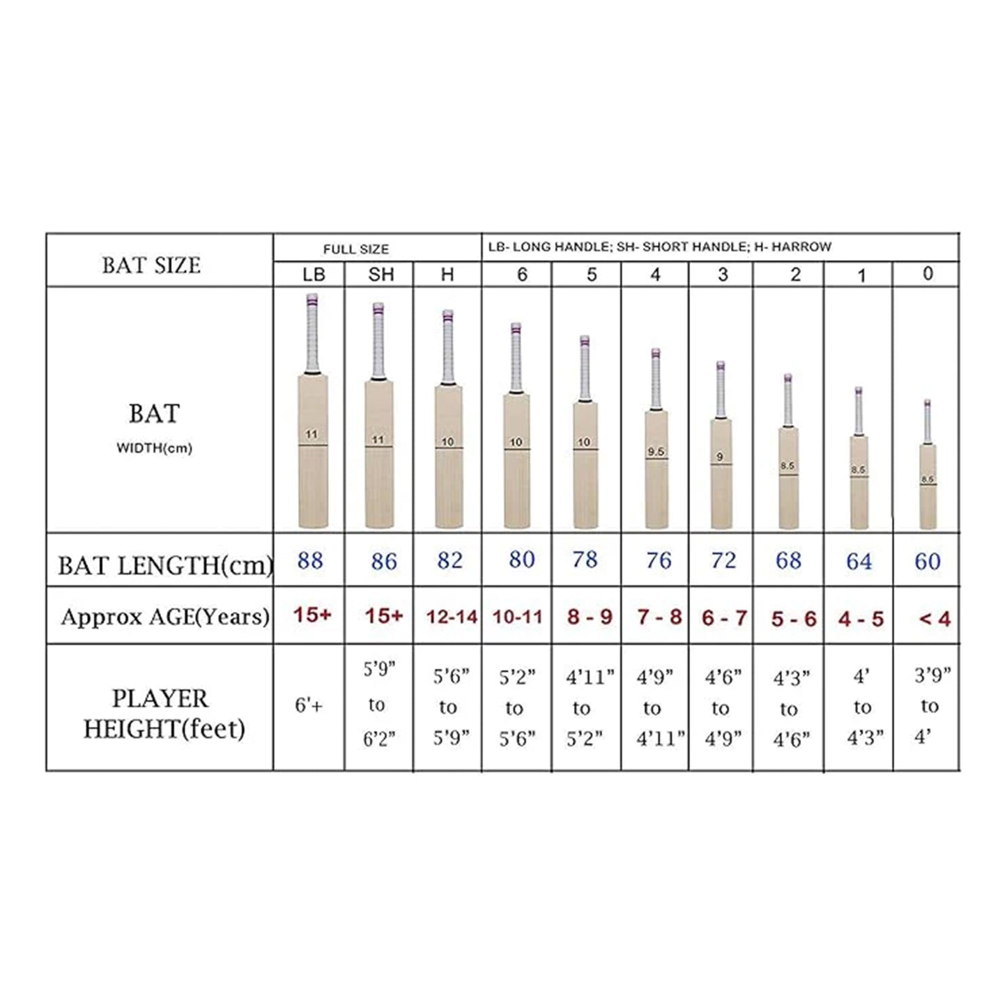 SS EW BAT MAGNUM COTTED BAT English Willow Cricket Bat ( Size: Short Handle,Leather Bat )