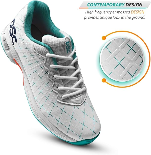 DSC Biffer 22 Cricket Shoes for Mens