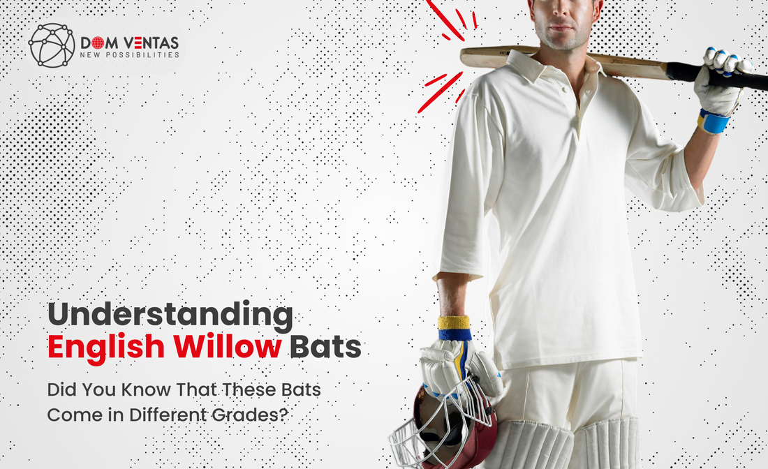 Understanding Grades 1 to 5 of English Willow Cricket Bats