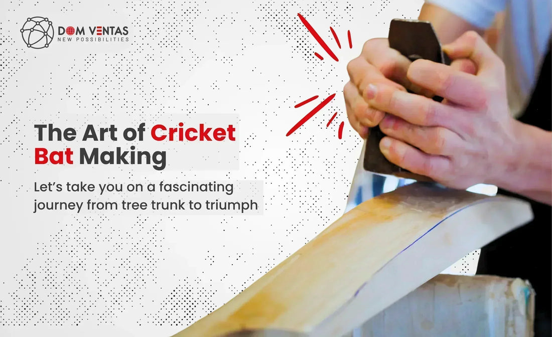 From The Willow to The Wicket: How Cricket Bats are made