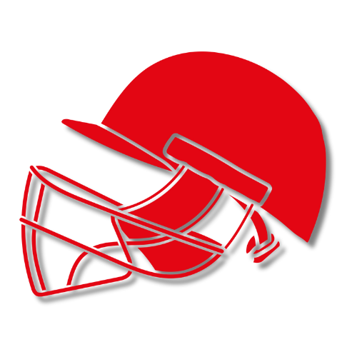 Cricket Helmet