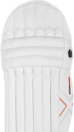 DSC Intense Attitude Cricket Batting Legguard