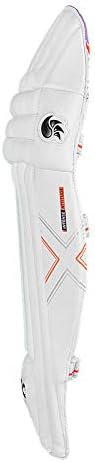 DSC Intense Attitude Cricket Batting Legguard