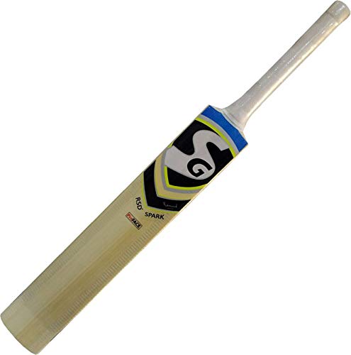 SG Kashmir Eco Cricket Kit