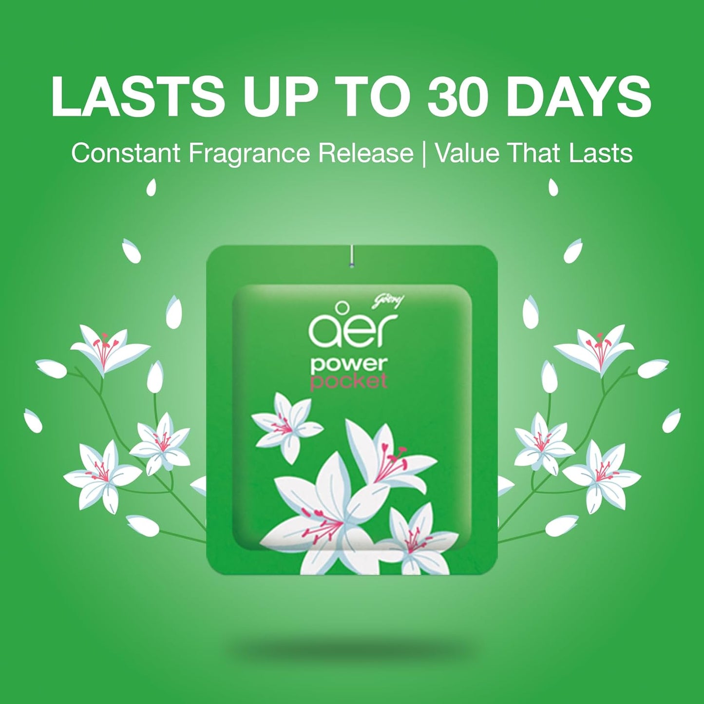 Godrej Aer Power Pocket Bathroom Fragrance - Floral Delight