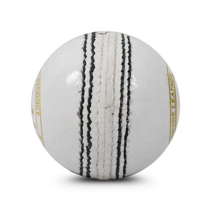 DSC 1500307 Leather Cricket Ball, Size Club (White)