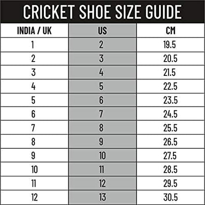 DSC Biffer 22 Cricket Shoes for Mens