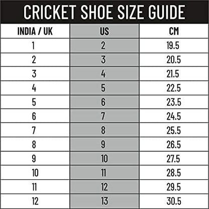 DSC Beamer Cricket Shoes | For Boys and Men | Light Weight | Durable