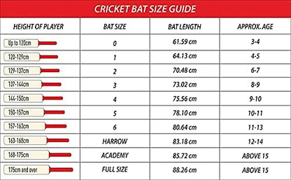 DSC PRO KRUNCH SERIES ENGLISH WILLOW CRICKET BAT - MENS