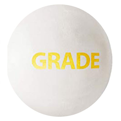 DSC 1500307 Leather Cricket Ball, Size Club (White)