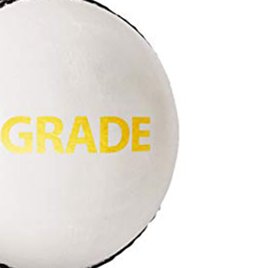 DSC 1500307 Leather Cricket Ball, Size Club (White)