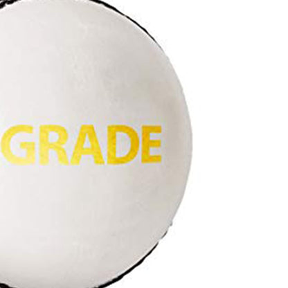DSC 1500307 Leather Cricket Ball, Size Club (White)