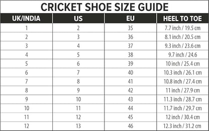 DSC Biffer 22 Cricket Shoes | Lightweight Upper | Rubber Outsole | TPU Shank | High Quality EVA Midsole | Lesser Foot Fatique | Provides Unique Look