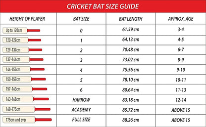 DSC Wildfire Flare Tennis Cricket Bat | Material: Kashmir Willow Ideal for Junior Players Lightweight for Boys and Youth