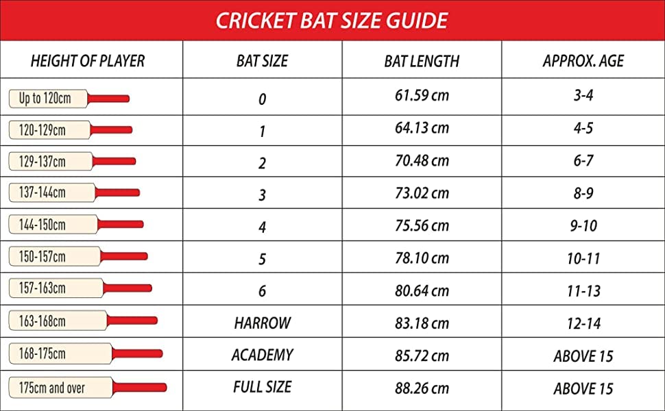 DSC Wildfire Flare Tennis Cricket Bat Short Handle Mens
