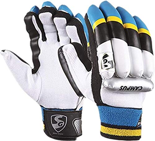 SG Kashmir Eco Cricket Kit